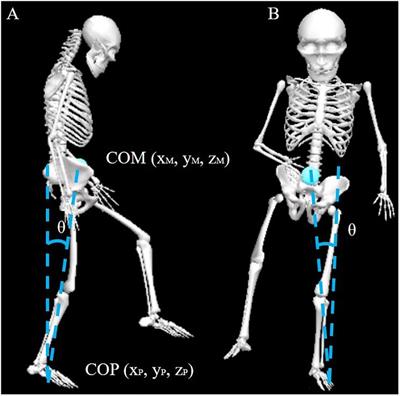 Short-Step Adjustment and Proximal Compensatory Strategies Adopted by Stroke Survivors With Knee Extensor Spasticity for Obstacle Crossing